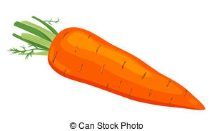 Image of a carrot