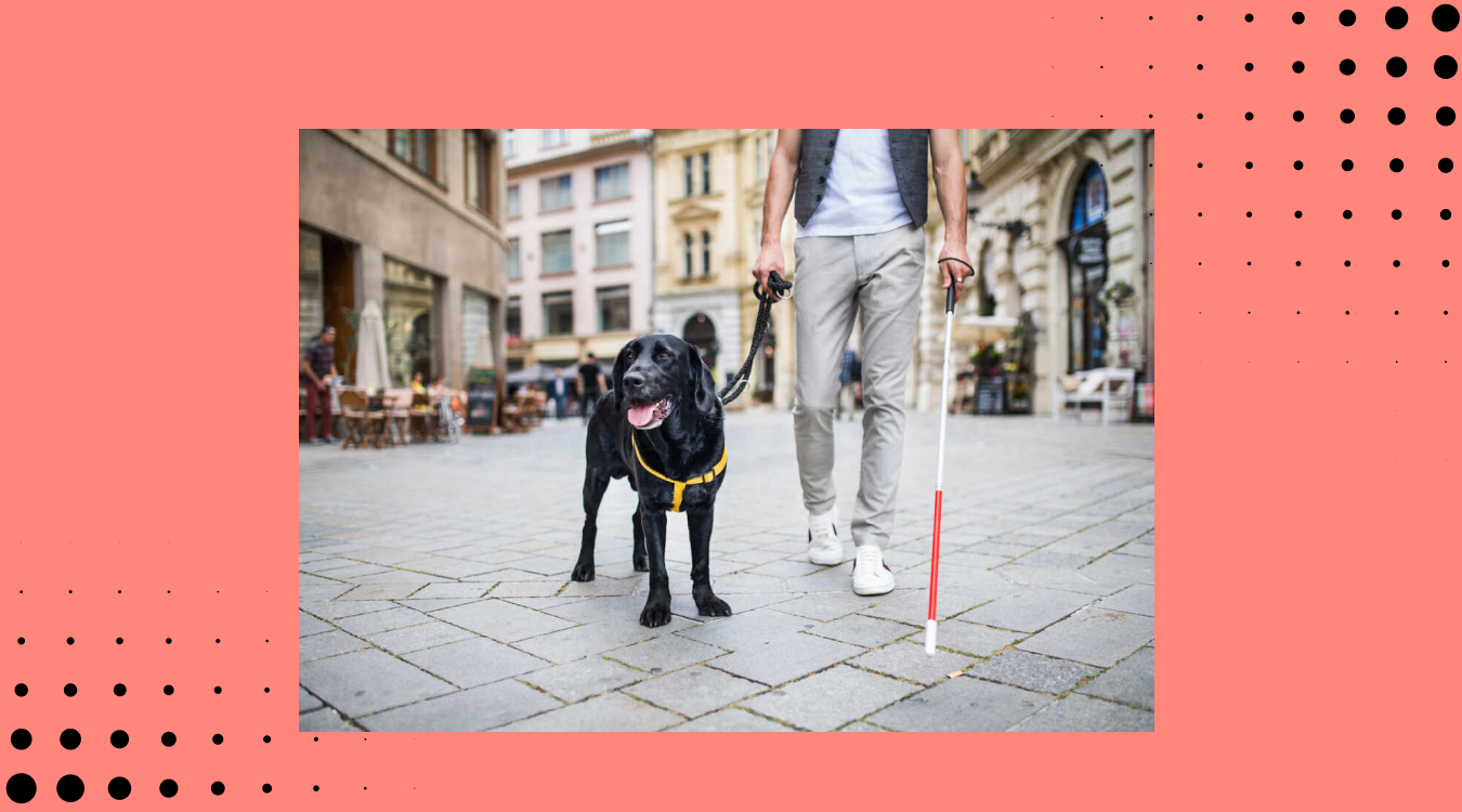 a man holding a cane in one hand and a black labrador guide dog in the other walking around a city center.