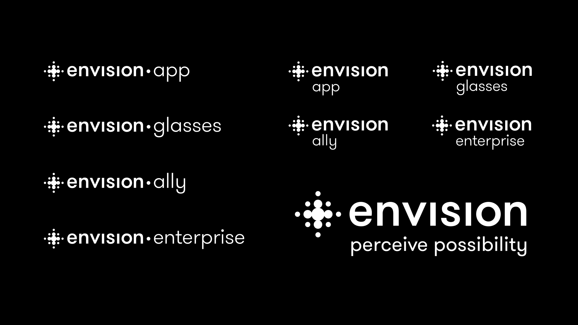 an array of different cofigurations of Envision's logo with its suite of products