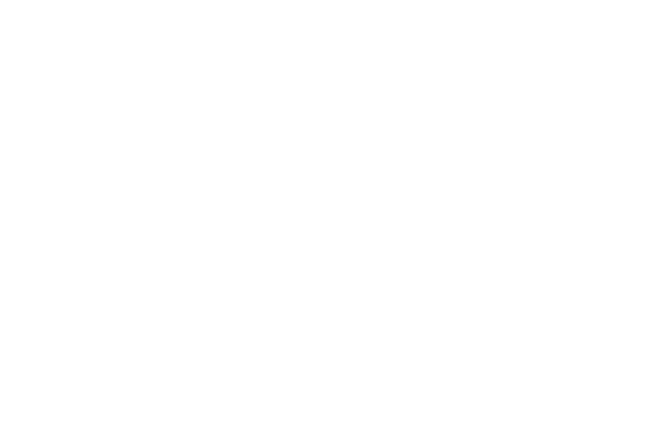 Envision Logo
