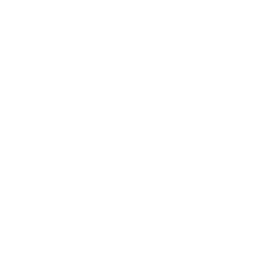Techleap.nl Logo