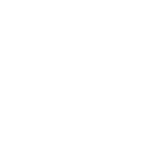 Bartimeus Fonds Logo