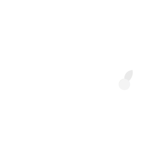 Rebokeh Logo