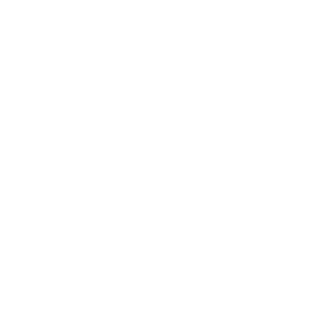 Envision Logo in White