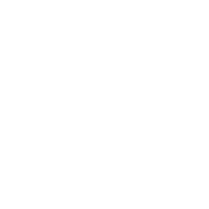 CIC Rotterdam white logo