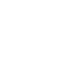 biped.ai logo