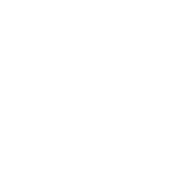 Surpass Sport Systems logo